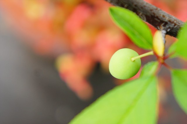 20170512004.JPG